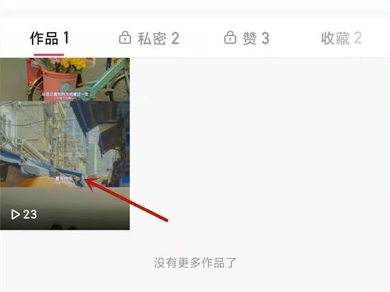 快手查看视频播放量_快手作品播放量查看方法_快手播放量网站平台