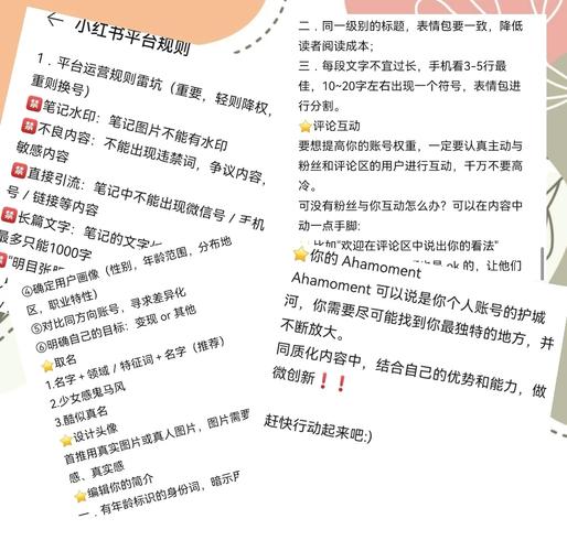 小红书快速涨粉技巧_小红书涨粉逻辑的四个方面_小红书涨粉公式